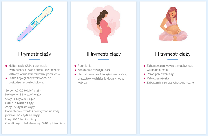 Tabela przedstawiająca możliwość uszkodzenia płodu przez alkohol w poszczególnych tygodniach ciąży (I trymestr, II trymestr i III trymestr)